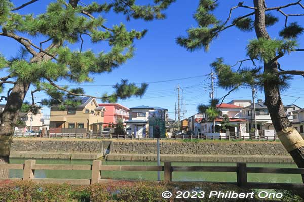 A local group was formed in 1976 to replant pine trees. Their efforts was successful with 500+ trees planted. Vehicular traffic through the pine trees stopped in 1982. Thankfully, it's now pedestrians only.
Keywords: Saitama Soka-Matsubara pine trees Oku-no-Hosomichi