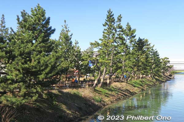 Ayase River
Keywords: Saitama Soka-Matsubara pine trees Oku-no-Hosomichi