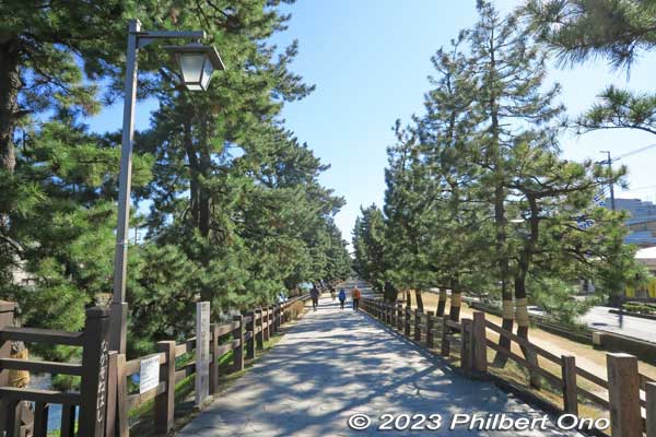 Keywords: Saitama Soka-Matsubara pine trees Oku-no-Hosomichi