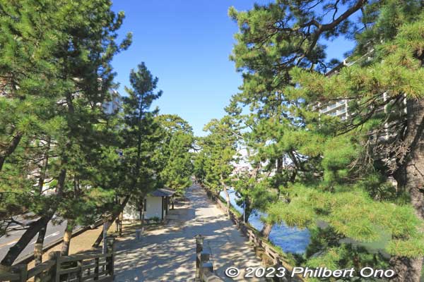 Northern view from Hyakutai Bridge.
Keywords: Saitama Soka-Matsubara pine trees Oku-no-Hosomichi