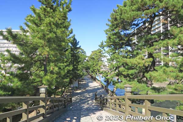 Northern view of pine trees from Hyakutai Bridge.
Keywords: Saitama Soka-Matsubara pine trees Oku-no-Hosomichi