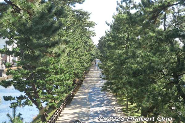 Southern view of Soka-Matsubara pine trees from Hyakutai Bridge, Saitama.
Keywords: Saitama Soka-Matsubara pine trees Oku-no-Hosomichi