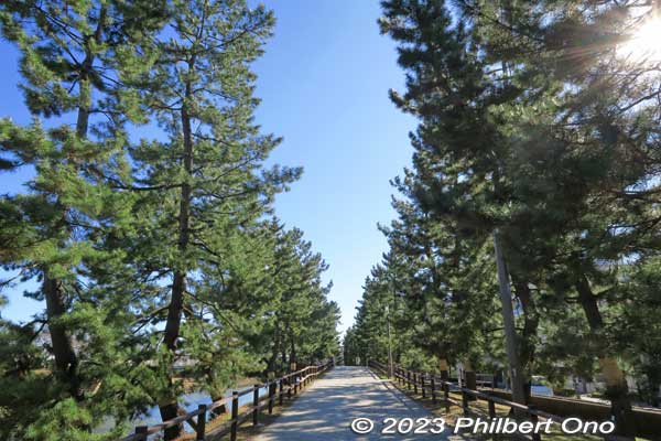 Soka-Matsubara pine trees in Soka, Saitama. Part of the Nikko Kaido road and Oku-no-Hosomichi stop by Haiku poet Matsuo Basho.
Keywords: Saitama Soka-Matsubara pine trees Oku-no-Hosomichi japangarden