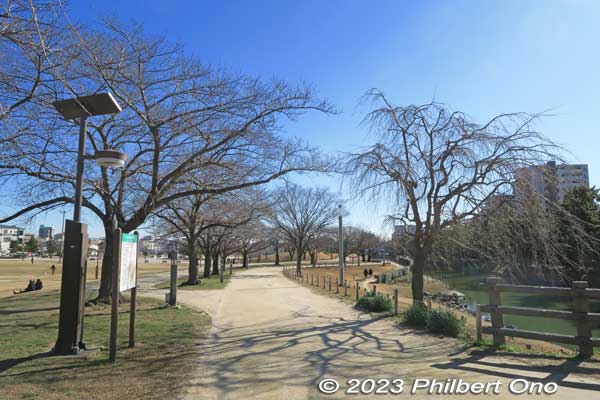 Matsubara Ayasegawa Park is a large park with cherry blossoms.
Keywords: Saitama Soka-Matsubara pine trees Oku-no-Hosomichi