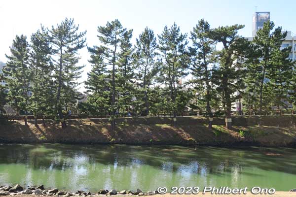 Soka-Matsubara pine trees and Ayasegawa River.
Keywords: Saitama Soka-Matsubara pine trees Oku-no-Hosomichi