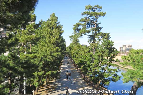 Northern view from Yatate Bridge.
Keywords: Saitama Soka-Matsubara pine trees Oku-no-Hosomichi