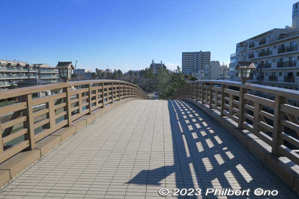 Top of Yatatebashi arch bridge.
Keywords: Saitama Soka-Matsubara pine trees Oku-no-Hosomichi