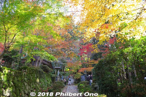 Keywords: shiga aisho koto sanzan kongorinji temple fall autumn leaves foliage kotosanzan