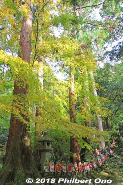 Keywords: shiga aisho koto sanzan kongorinji temple fall autumn leaves foliage kotosanzan jizo