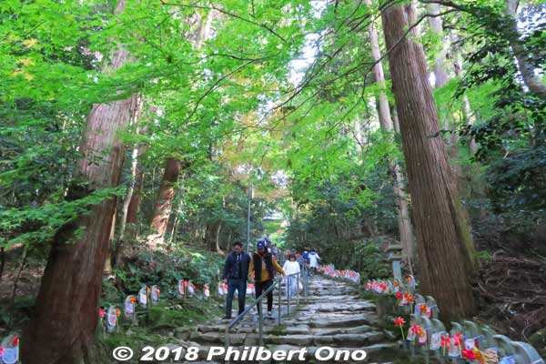 From here, the path to the temple (main hall) is lined with 1,000 Jizo statues.
Keywords: shiga aisho koto sanzan kongorinji temple jizo