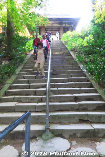 Steps to the Hondo main worship hall.
Keywords: shiga aisho koto sanzan kongorinji temple