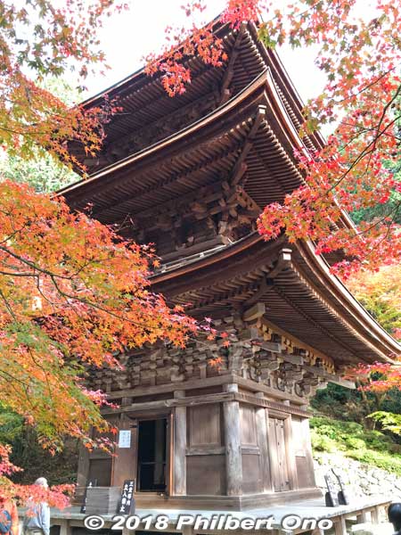 Kongorinji's three-story pagoda built in 1246, National Important Cultural Property.
Keywords: shiga aisho koto sanzan kongorinji temple fall autumn leaves foliage kotosanzan pagoda