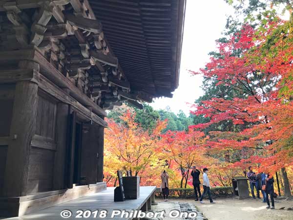Kongorinji's three-story pagoda, National Important Cultural Property amid maple leaves.
Keywords: shiga aisho koto sanzan kongorinji temple fall autumn leaves foliage kotosanzan pagoda