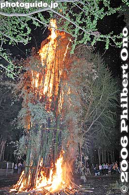 Towering inferno of bamboo on fire.  The shrine has a 5-meter tall pile of bamboo which is lit to make a towering inferno within the shrine grounds. Very dramatic. 
Keywords: japan shiga aisho-cho misaki shrine fire festival matsuri