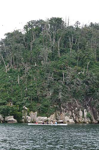 Cormorant birds (those white specks are the birds) break off tree branches to make nests, and their acidic droppings damage the trees. However, it seems the cormorant population is decreasing and the island is showing more greenery than before.
