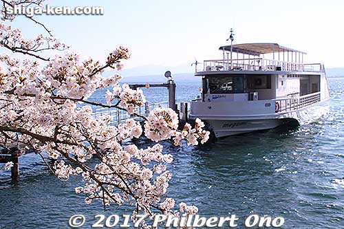 Kaizu-Osaki cherry blossom cruise. Megumi docked at Kaizu-Osaki Port, Takashima, Shiga.
Keywords: shiga biwako lake biwa