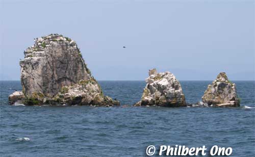 Okino-shiraishi Rocks, a favorite resting place for birds which turned the rocks white from bird droppings. Four rocks stand 80 meters deep in the lake. Out of the water, the tallest stands 14 meters high. 沖の白石
Keywords: shiga biwako lake biwa