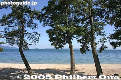 Pine trees at Omi-Maiko
Keywords: shiga lake biwa rowing song biwako shuko no uta boating omi-maiko otsu beach pine trees white sand