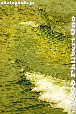 Golden waves
Keywords: shiga lake biwa rowing song biwako shuko no uta boating waves