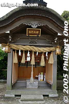Small shrine for the White Snake God, a messenger of goddess Benzaiten. 白巳大神
Keywords: Shiga nagahama Lake Biwa Chikubushima Hogonji