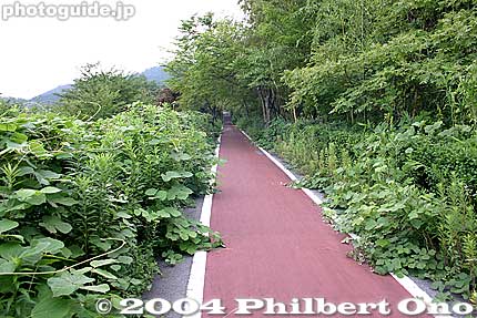 From the museum, there is a nice bike path.
Keywords: shiga prefecture azuchi azuchicho