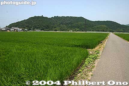 To Mt. Azuchi where Azuchi Castle once stood in Omi-Hachiman. If you don't have a car, rent a bicycle at Azuchi Station (or ride a taxi). The castle site is not very far from Azuchi Station by bicycle.
Keywords: shiga prefecture azuchi castle shigabesthist