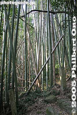 Keywords: shiga prefecture omi-hachiman chomeiji temple saigoku pilgrimage bamboo