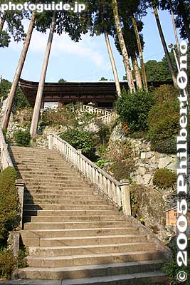 Last flight of steps
Keywords: shiga prefecture omi-hachiman chomeiji temple saigoku pilgrimage