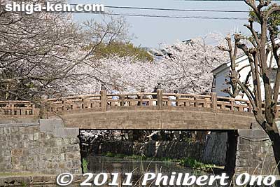 A few bridges also cross the moat. This is Meijibashi Bridge. 明治橋
Keywords: shiga omi-hachiman hachiman-bori moat canal cherry blossoms sakura flowers 