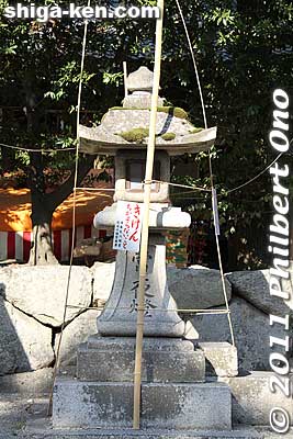 Keep away from the stone lanterns.
Keywords: shiga omi-hachiman hachiman matsuri festival fire torches 