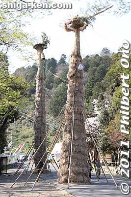 Two tall ones in front of Himure Hachimangu Shrine.
Keywords: shiga omi-hachiman hachiman matsuri festival fire torches 