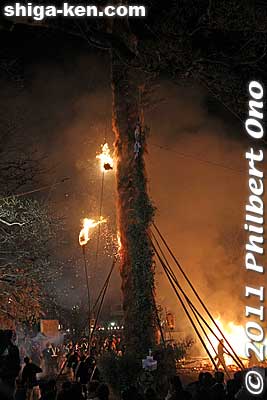 Another giant torch is set on fire. They use long bamboo poles mounted with small torches to light the giant torch. They first light the crown of the giant torch.
Keywords: shiga omi-hachiman hachiman matsuri festival fire torches 
