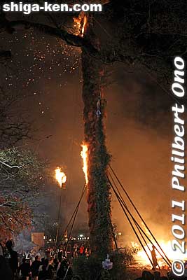 They also light the mid-section of the torch.
Keywords: shiga omi-hachiman hachiman matsuri festival fire torches 
