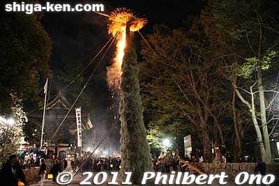 They light it from the top.
Keywords: shiga omi-hachiman hachiman matsuri festival fire torches 