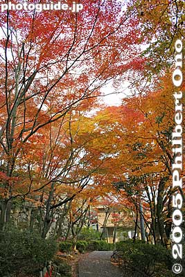 Keywords: shiga prefecture omi-hachiman castle fall autumn colors