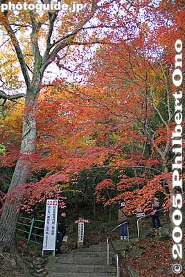 Keywords: shiga prefecture omi-hachiman castle fall autumn colors