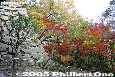 Castle wall and fall colors
Keywords: shiga prefecture omi-hachiman castle fall autumn colors