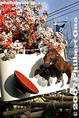 It has a cherry tree, a red sake cup, and boar. Sagicho floats depict animals from the Oriental Zodiac, and 2007 was the Year of the Boar.
Keywords: shiga omi-hachiman sagicho matsuri festival float boar