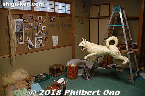 The 13 floats don't coordinate their designs. They don't share their design plans with other floats.
So no one knows who will make which breed of dog until the festival day. Didn't see any chihuahua nor dachshunds.
Keywords: shiga omi-hachiman sagicho matsuri festival float 2018 dog