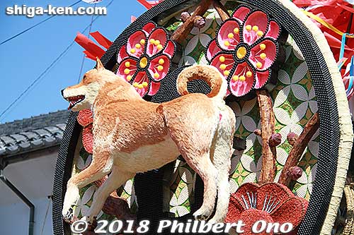 Dai-niku float 第二区
Keywords: shiga omihachiman sagicho matsuri festival float 2018 dog