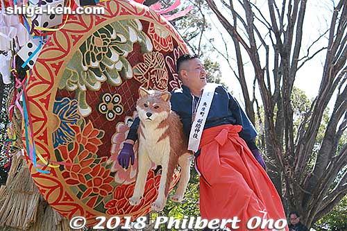 Float leader directing the float bearers carrying the float. Uwai-cho float. 魚屋町
Keywords: shiga omi hachiman sagicho matsuri festival float 2018 dog