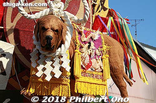This was the winning float design. Another Tosa fighting dog. Sure looks like a lot of work went into this. I didn't have a chance to ask what the yellow braids were made of. Dai-Juikku float. 第十一区
Keywords: shiga omi hachiman sagicho matsuri festival float 2018 dog