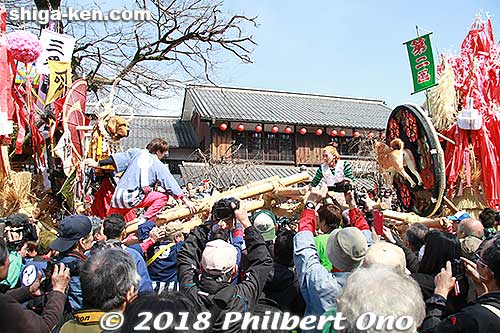 March 18, 2018: On the festival's 2nd day (Sun.), the floats are paraded from 10:30 am and arrive at the shrine by 2 pm. 
All the floats all gathered at the shrine again (a large parking lot) and held float battles (kenka). The floats paired up and rammed each other and pushed until the other float toppled.
Keywords: shiga omi hachiman sagicho matsuri festival float 2018 dog
