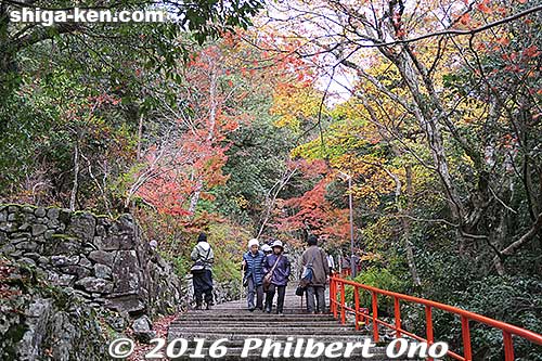 Keywords: shiga higashiomi eigenji autumn zen rinzai temple leaves fall foliage