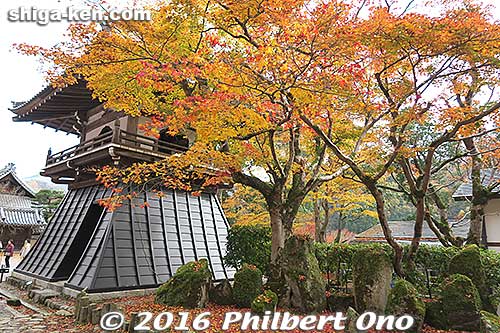 Keywords: shiga higashiomi eigenji autumn zen rinzai temple leaves foliage