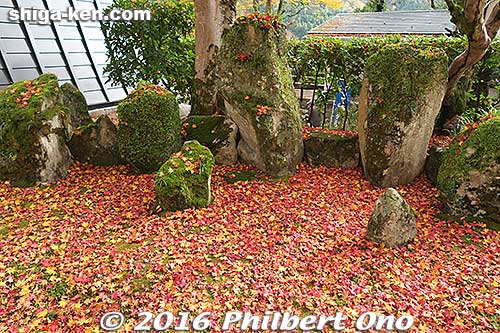 Keywords: shiga higashiomi eigenji autumn zen rinzai temple maple leaves foliage