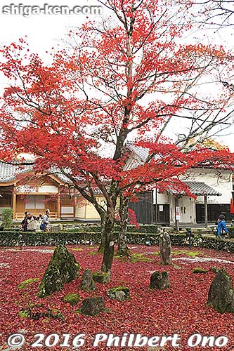 Keywords: shiga higashiomi eigenji autumn zen rinzai temple red leaves foliage maple