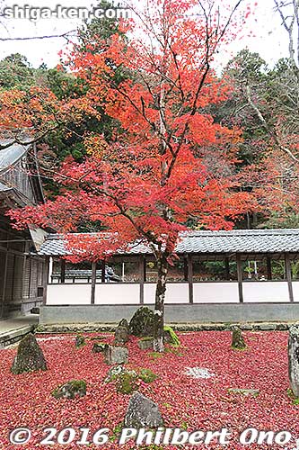 Keywords: shiga higashiomi eigenji autumn zen rinzai temple