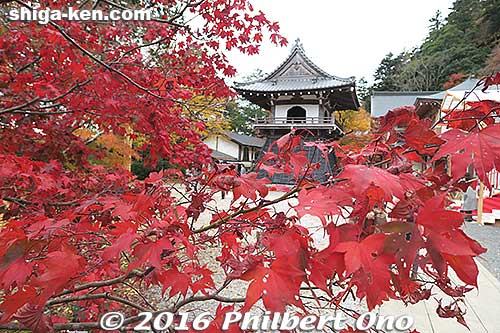 Eigenji Temple
Keywords: shiga higashiomi eigenji autumn zen rinzai japantemple red maple leaves foliage
