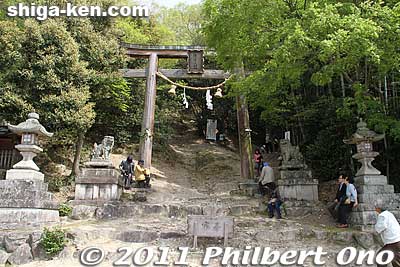 The torii is right on the bottom of the steep and rocky mountain slope.
Keywords: shiga higashiomi ibanosakakudashi matsuri festival mikoshi portable shrine 